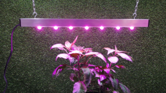 Фитосветильник полного спектра для рассады. Фитолампа светодиодная для растений. Фитолампа энергосберегающая для цветов.