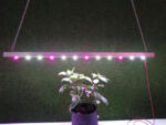 Фитосветодиодный светильник для растений на подоконнике или полках, предназначенный для рассады, светолюбивых комнатных цветов и незаменимый при выращивании зелени или микрозелени.

