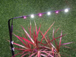  Фитосветильник для подсветки растения в горшке — прекрасный выбор для досвечивания цитрусовых, орхидей, фикусов и прочих в условиях, когда стандартный светильник невозможно закрепить над растением
