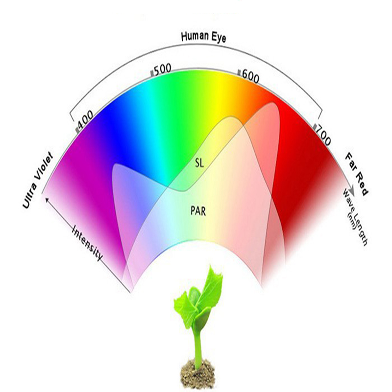 Фитосветодиодный светильник для растений на подоконнике или полках, предназначенный для рассады, светолюбивых комнатных цветов и незаменимый при выращивании зелени или микрозелени.
